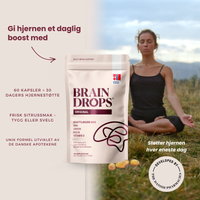 BrainDrops Original 60 stk